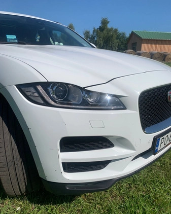 Jaguar F-Pace cena 120000 przebieg: 71000, rok produkcji 2018 z Świnoujście małe 37